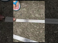 CPRI Bbu Odc-Dlc CPRI ऑप्टिकल फाइबर पैच कॉर्ड सीलबंद धूल टोपी के साथ जलरोधक