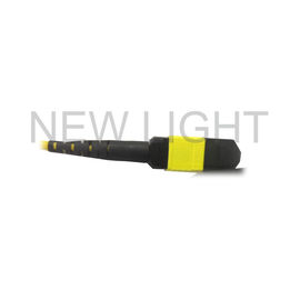 MTP (महिला) MTP (महिला) QSFP28 ट्रांसीवर के लिए सिंगल मोड केबल पोलारिटी बी